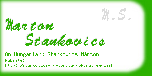 marton stankovics business card