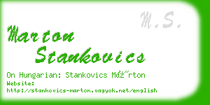 marton stankovics business card